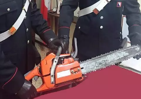 Un român stabilit în Italia i-a alergat și i-a amenințat pe câțiva vecini cu o drujbă!