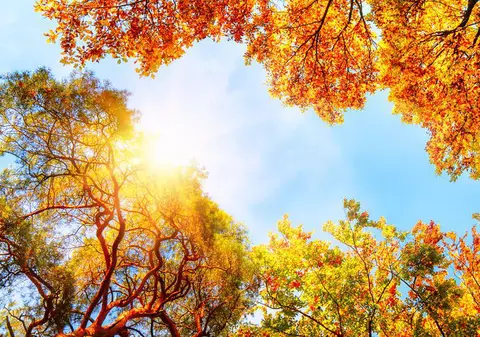 Prognoza meteo pentru perioada 9-22 septembrie. Când se va răci vremea