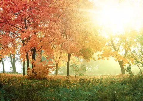 Prognoza meteo pentru sâmbătă, 19 octombrie. Vremea va fi frumoasă în toată țara