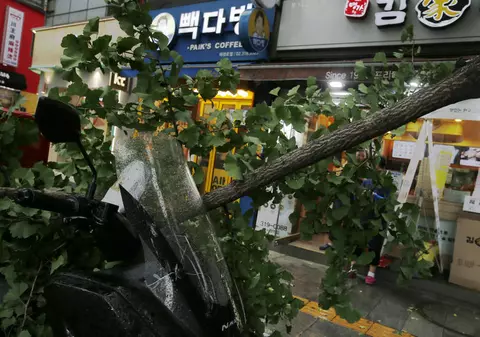 Taifunul Lingling a făcut ravagii în Coreea de Nord. 5 persoane au murit, peste 460 de case au fost afectate