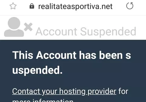 Cu câteva ore înainte de decizia privind licența Realitatea TV, site-ul de sport al trustului și alte 40 de site-uri locale au fost atacate de hackeri și au fost inactive peste trei ore