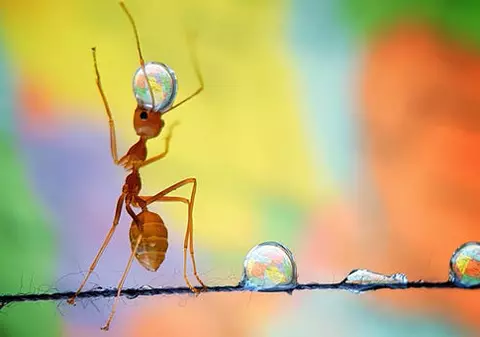 Cele mai frumoase fotografii din 2019. Una dintre aceste poze valorează 25.000 de euro