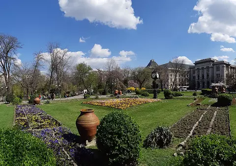 Spațiu verde în curtea Spitalului Panduri și îndepărtarea ciorilor din Cismigiu, proiectele cele mai votate de bucureșteni