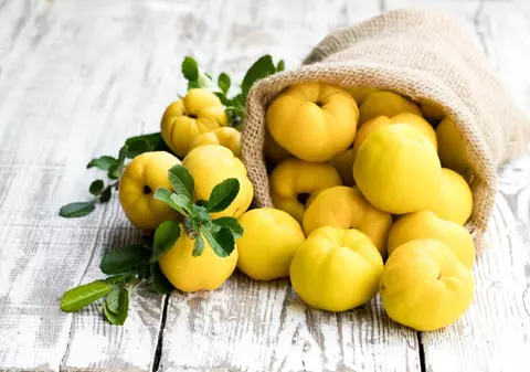 Cum păstrezi bunătatea gutuilor și iarnă. Ce beneficii au pentru sănătate