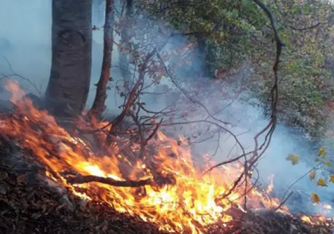 Incendiu de pădure în munții Vulcan. Pompierii intervin și cu un avion