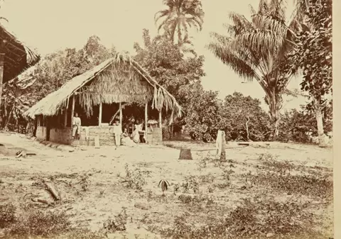 Cum arăta pădurea amazoniană în urmă cu 150 de ani. Fotografii rare, scoase la licitație