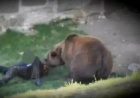 Un bărbat a fost ucis de un urs în Mureș. Doi copii minori au rămas orfani