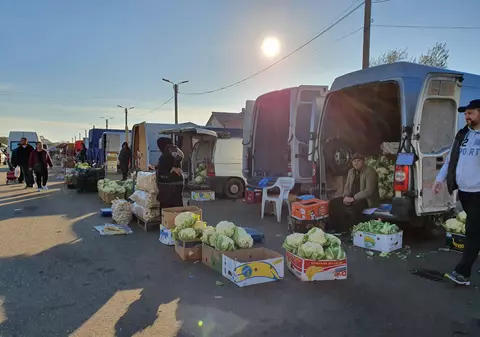 Diaspora s-a întors în țară și vinde legume în Piața Pucheni: „Am venit să fac agricultură și votez ca să putem rămâne acasă”