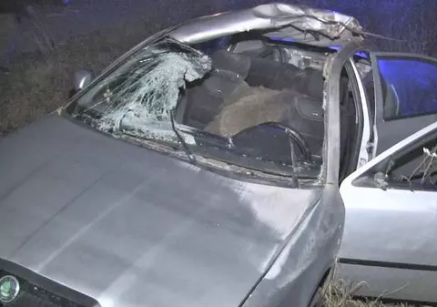 Șofer grav rănit pe un drum  din județul Dâmbovița, după ce un mistreț apărut brusc pe șosea a intrat prin parbrizul mașinii