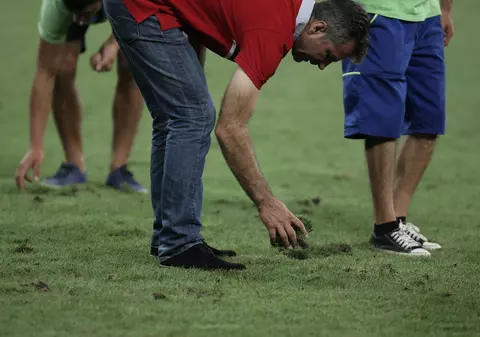 Gazon hibrid pe Arena Națională pentru Euro 2020. ”Nu știm cum să îngrijim suprafețele de joc”