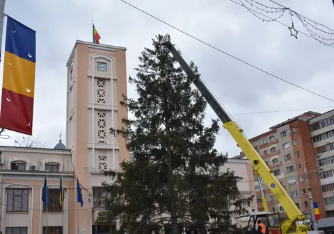 Primăria Bârlad le cere localnicilor să doneze bradul de Crăciun orașului. „De ce să cheltuim de la buget?”