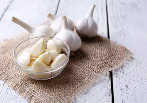 Plante cu proprietăţi antibiotice