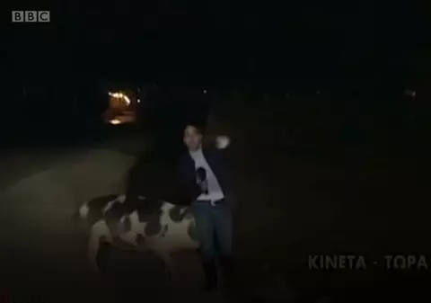 Pățania unui reporter în timp ce transmitea în direct