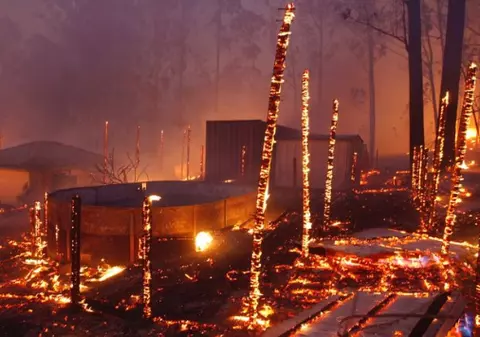 Trei oameni au murit în incendiile de vegetație care au curprins Australia. Și o rezervație de urși koala a fost distrusă. Au pierit sute de exemplare