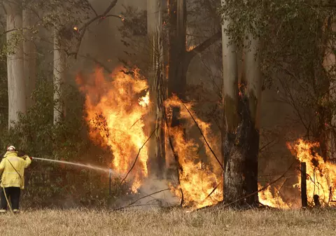 Incendiile de vegetație au anulat Raliul Australiei. ”Gândurile noastre se îndreaptă către oameni”