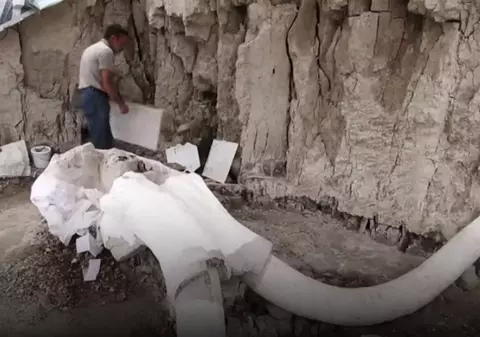 Cum prindeau oamenii mamuții în urmă cu 15.000 de ani. Descoperirea făcută recent în Mexic