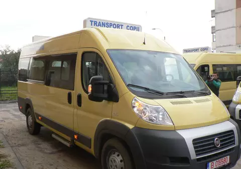 Un microbuz școlar a lovit mortal o căprioară. Niciun elev n-a fost rănit