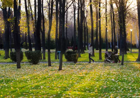 Curtea de Apel anulează retrocedarea a 12 hectare din Parcul IOR. Decizia nu e definitivă