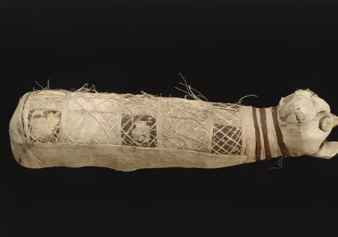 Detaliul surprinzător, scos la iveală după analizarea mumiei unei pisici din Egiptul Antic. Felina avea trei cozi și cinci picioare