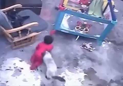 O pisică a salvat viața unui bebeluș. Momentul uluitor a fost filmat