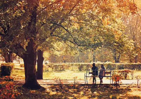 Prognoza meteo pentru luni, 11 noiembrie. Vremea va fi în continuare caldă