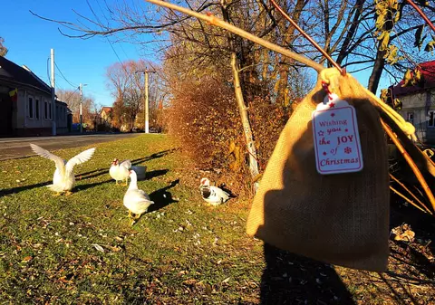 Săculeții misterioși, un obicei devenit tradiție de Crăciun într-o localitate din Brașov. Cine îi găsește trebuie să dăruiască mai departe vecinilor