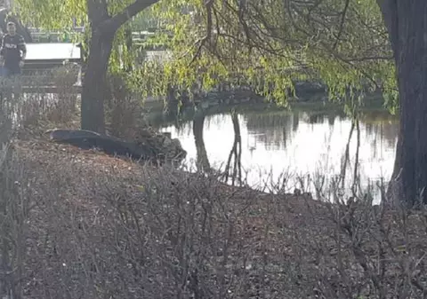 Un tânăr a fost găsit mort într-un lac din Buzău. Se pare că a fost lovit la cap