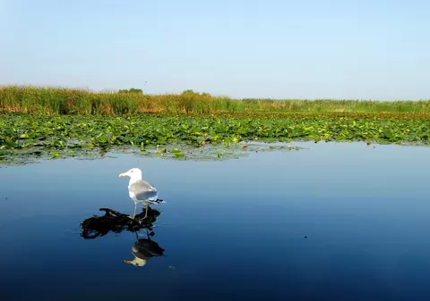 Delta Dunării - pe lista cu locuri de văzut în 2020! (PUBLICITATE)