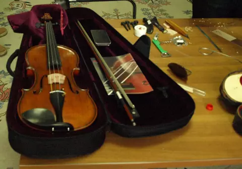 România ocupă primul loc în Uniunea Europeană la exportul de viori