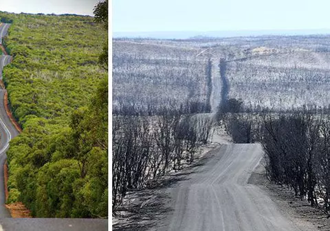 Australia, înainte și după ce focul a mistuit milioane de hectare. Imaginile care arată amploarea dezastrului