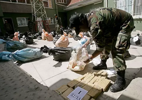 Guvernul a încasat peste 170.000 de dolari, după destructurarea unei grupări care se ocupa cu traficul de droguri