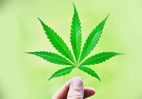 Încă un stat american a legalizat consumul recreațional de marijuana. Oamenii s-au așezat la cozi încă din timpul nopții