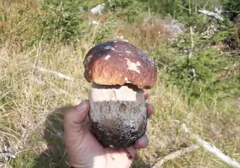 Doi români, condamnați în Franța pentru o faptă incredibilă