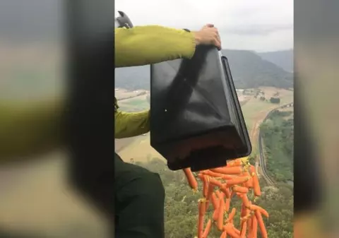 Motivul pentru care guvernul australian aruncă legume din elicopter în zonele devastate de incendii
