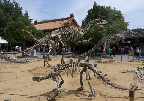 O nouă specie de dinozaur a fost descoperită în China. De ce a fost botezat ”Dragonul dansator”