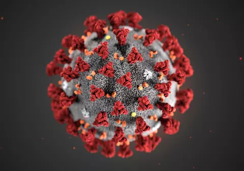 Cele mai mari epidemii din istorie. Gripa spaniolă a omorât 100 de milioane de oameni, ciuma neagră a ras 60% din populația Europei