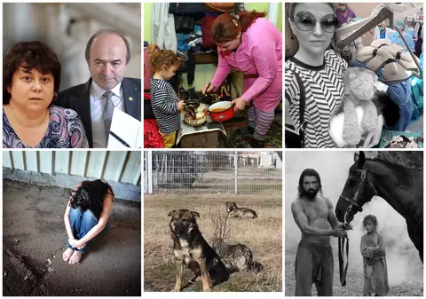 6 superlecturi de weekend.  De la plagiat în vârful unei facultăţi ieşene până la “Parasite” în pădurile României