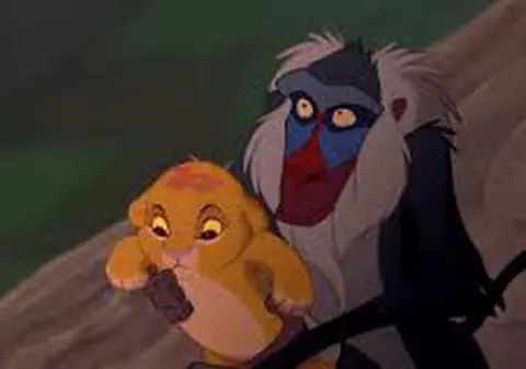 Adevărul crud din spatele imaginii virale cu babuinul şi puiul de leu care au recreat o scenă din Lion King