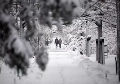 Prognoza meteo pentru 6 februarie. Vreme de iarnă. Ninge și bate viscolit vântul