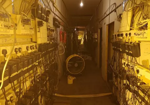 Un imigrant, prizonier într-o fabrică de canabis din Marea Britanie timp de două luni