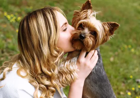 Rase de câini mici - Cei mai inteligenți și prietenoși căței de talie mică