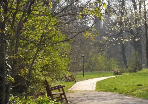 VIDEO Imagini spectaculoase din Grădina Botanică din București. Cât timp stați acasă, „Libertatea” aduce primăvara la voi