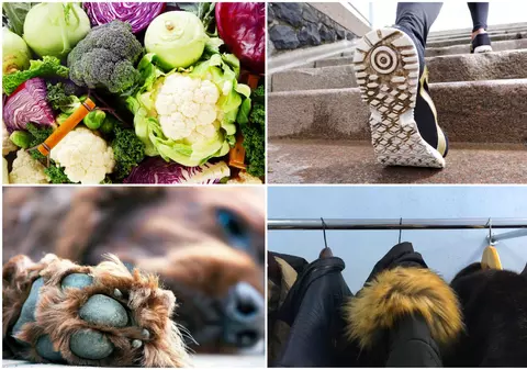 Institutul Superior de Sănătate din Italia, despre contaminarea cu Covid-19 de pe alimente, îmbrăcăminte, tălpile pantofilor şi labele animalelor de companie