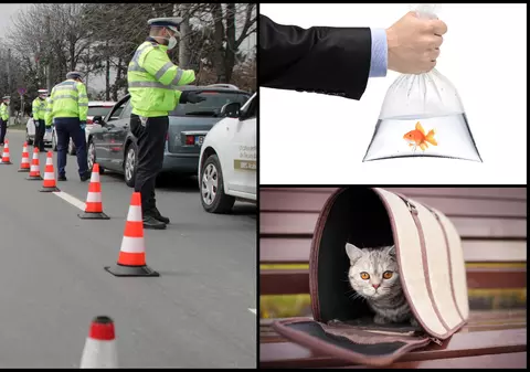 Cum încearcă unii români să spargă restricțiile pentru COVID-19. Un tânăr şi-a scos peştişorul, într-o pungă, la plimbare prin oraş