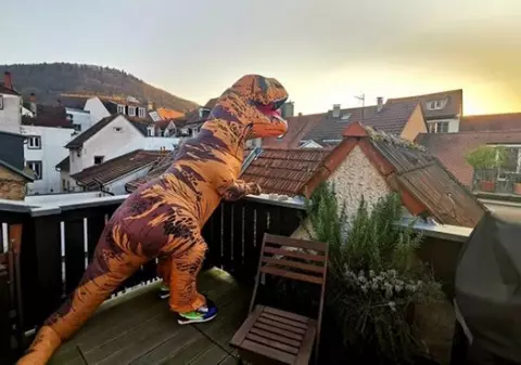 Bolnav de coronavirus, portarul naționalei de handbal a Suediei are protecție totală cu un costum de dinozaur