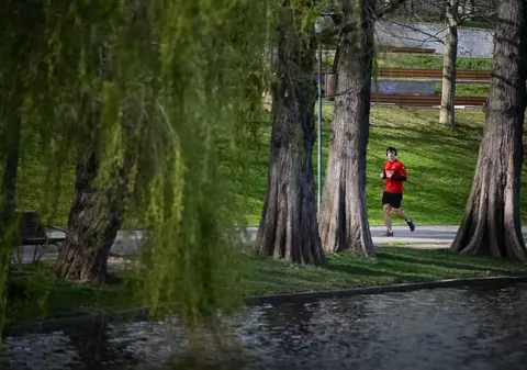 Vremea în București. Rafale de vânt de peste 65 km/oră şi o maximă de 17 grade Celsius