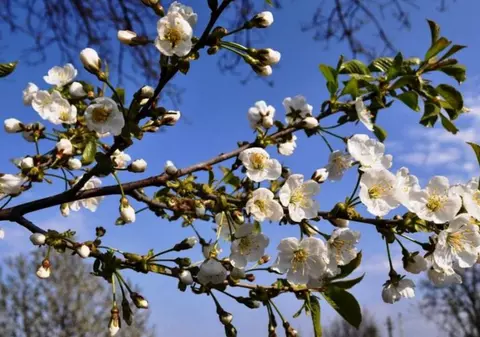 Prognoza meteo 10 mai 2020. Temperaturile vor ajunge până la 30 de grade
