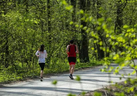 Naturalistul David Attenborough consideră că mediul natural este ”o sursă de consolare” în vreme de criză