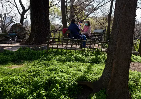 Șeful Gărzii de Mediu: Luni a fost, probabil, cel mai curat aer înregistrat în București în ultimii ani