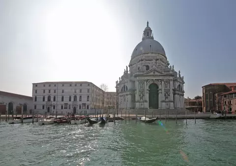 Delfinii nu ”s-au întors” în Veneția. Știrile false despre animalele sălbatice apărute în orașele golite de carantină au invadat Internetul